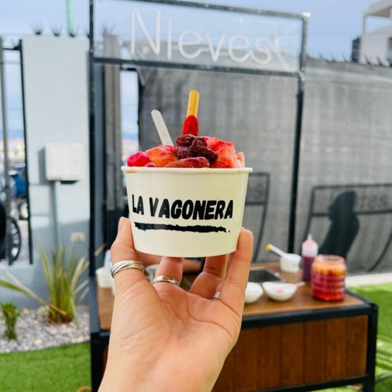 Nieves de La Vagonera